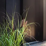 Luxury Forest With Hot Tub Сasa de vacaciones *